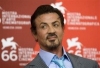 stallone venecia